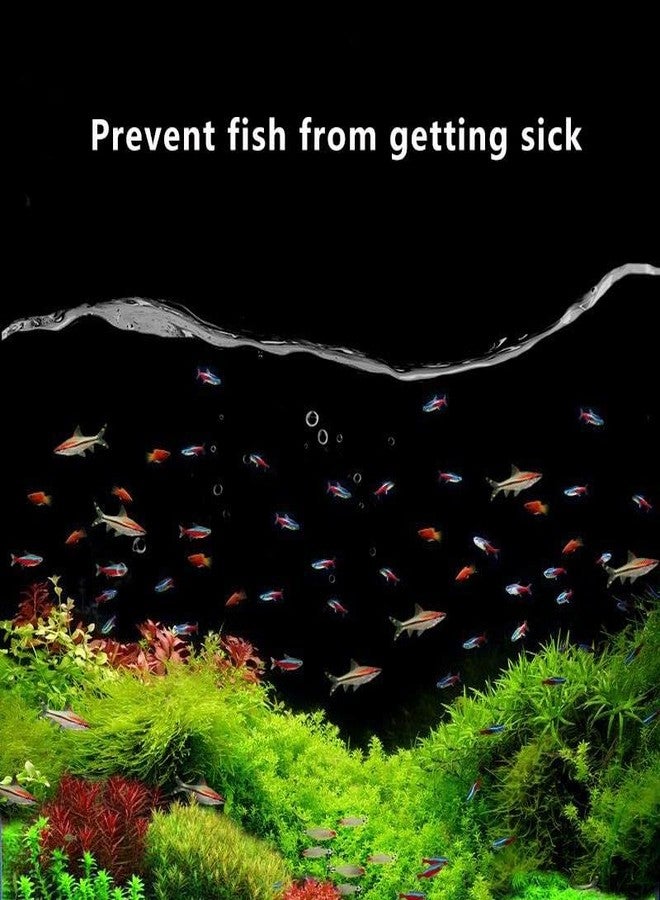 VAYINATO Aquatic Remedies Chlor Away Aquarium Fish Tank Water Chlorine Remover Water Conditioner (100ML) - Image 5